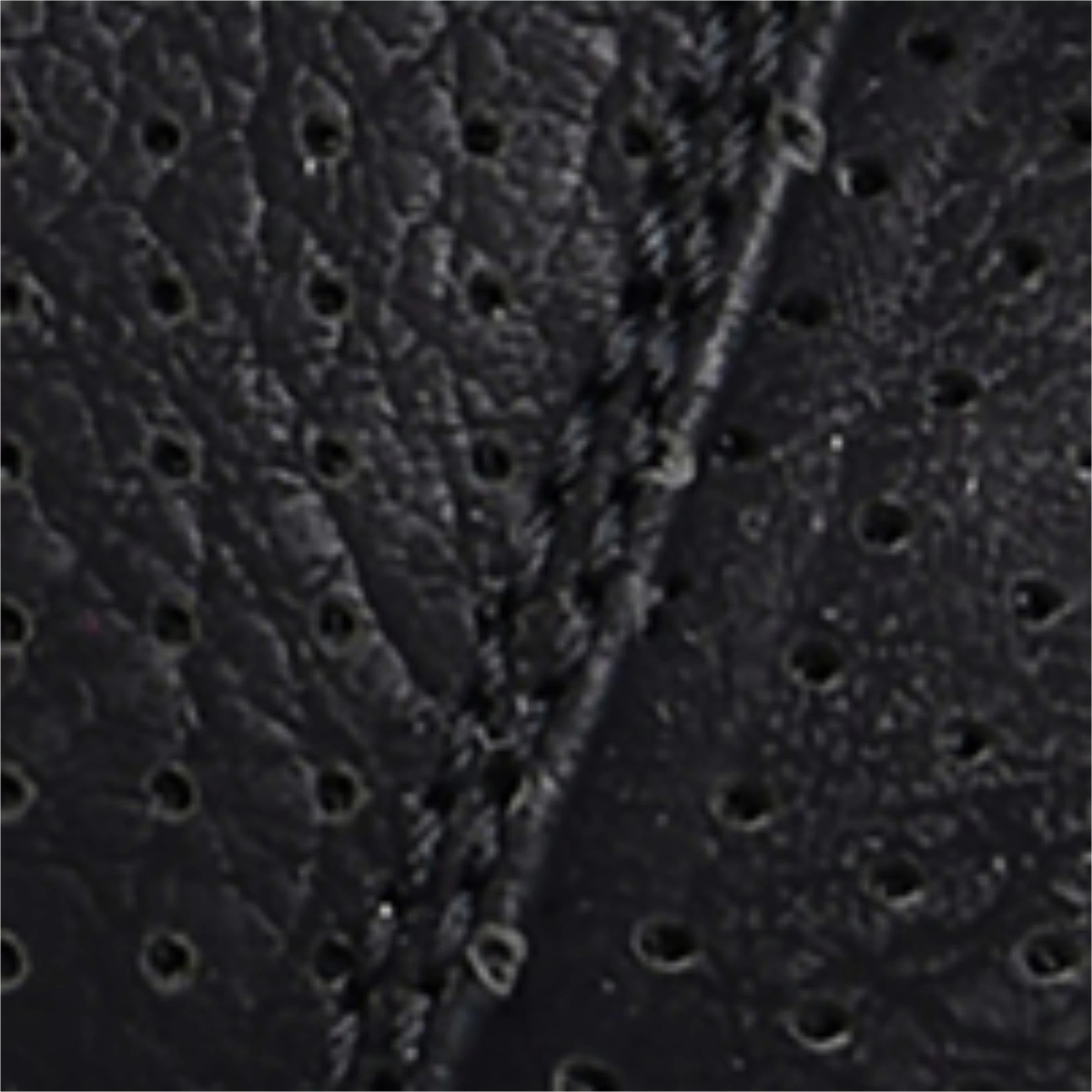 Women's Clara Wedge Slip On Sneaker 8 Women's Clara Wedge Slip On Sneaker - Image 6