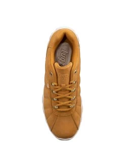 Men's Compass Sneaker -Professional Sports Shoe Store 23332 top xlarge