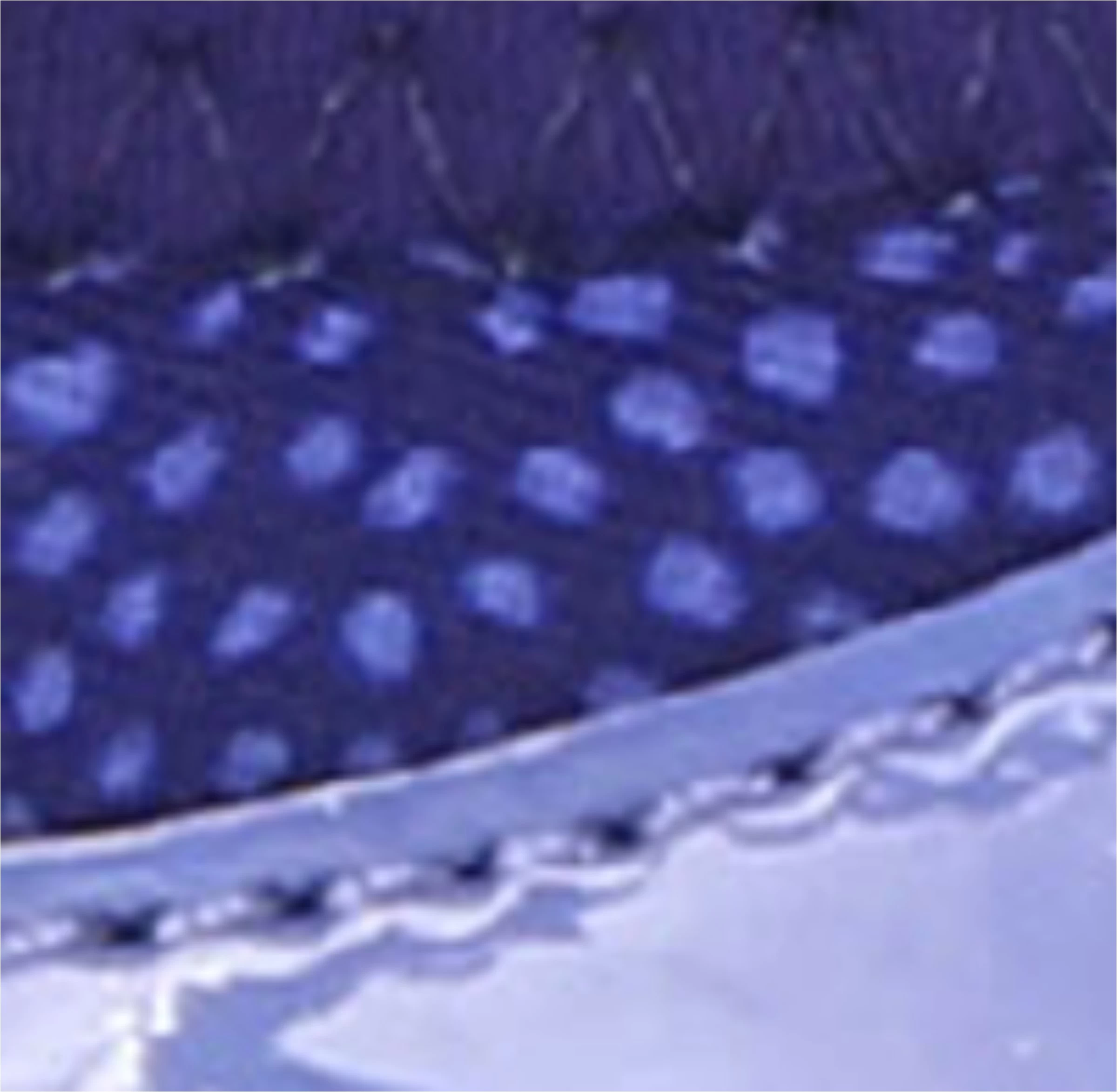 Kids' Infinity 2.0 Running Shoe Little Kid 8 Kids' Infinity 2.0 Running Shoe Little Kid - Image 6